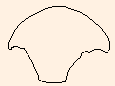 Final de caballete
